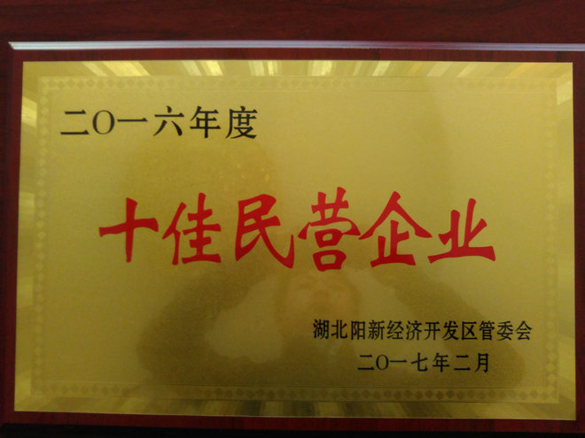 十佳民營企業(yè)
